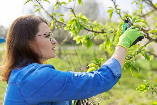 Lente snoeituin, vrouw met tuinschaar snoeien aan fruitbomen — Stockfoto