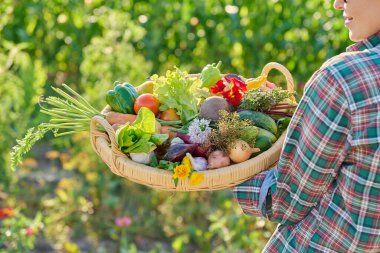 Bahçedeki dişinin elinde taze sebze hasadı, yenilebilir çiçekler olan yakın çekim sepeti. Çiftçi pazarı, organik tarım bahçıvanlığı yaz hasadı, sonbahar hasadı sağlıklı eko yiyecekler.