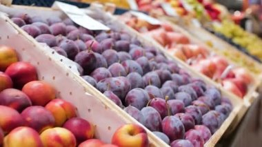 Portre renkli taze şeftali Erik nar ve üzüm piyasada ahşap kutularda toplanan