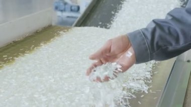 Beyaz hammadde adet sentetik elyaf için bandında hareket eder ve parçaları oluşturan işçi el alır