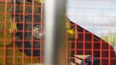 Çukur tekerlek zenginleştirilmesi ve döner zinciri sürücüler