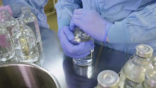 特写的员工和蓝色的手套把橡胶帽和关闭无菌瓶与透明液体 — 图库视频影像