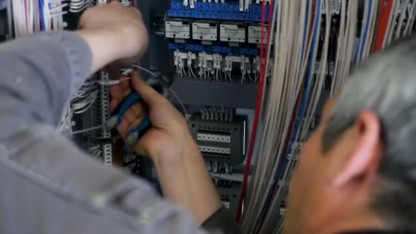 Closeup Zwarte Keramische Isolatoren Isoleren Stroomvoerende Delen Van Gesloten Schakelmechanismen — Stockvideo