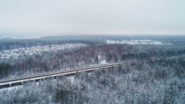 Trainen van de geladen rijtuigen transporten tegen winterlandschap — Stockvideo