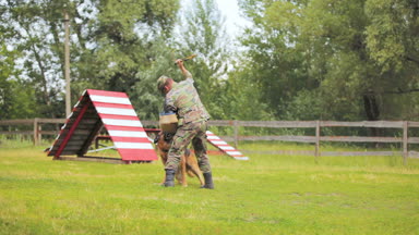 eğitmen hayvan ve köpek saldırıları adam sahada gidelim