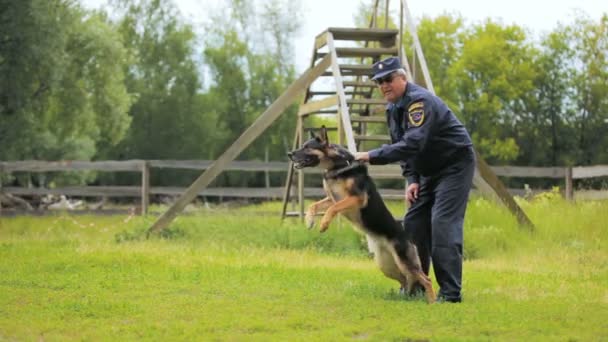 Entrenador libera perro y animal ataca hombre saltando en el brazo — Vídeo de stock