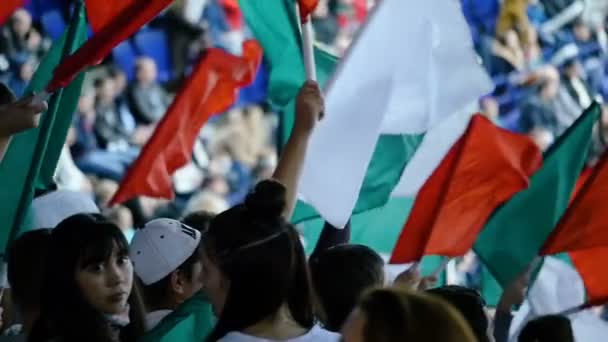 Αργή κίνηση πίσω προβολή χόκεϊ επί οπαδούς κύμα ομάδα σημαίες στις κερκίδες — Αρχείο Βίντεο