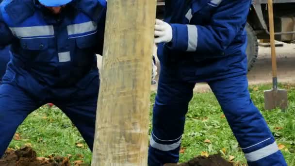 Travailleurs tiennent grand poteau en béton mettre dans le trou de terre — Video