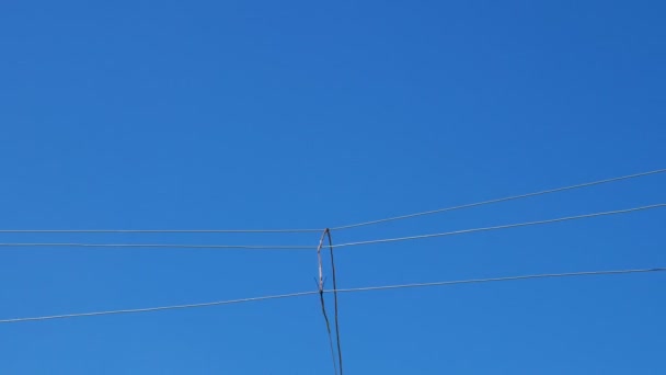 高電圧ライン上のライバル スロー ロープ草にペグにロープを結びつけるし カザンの 日大会でポール近くの友人は カザン タタールスタン共和国ロシア 2018 — ストック動画