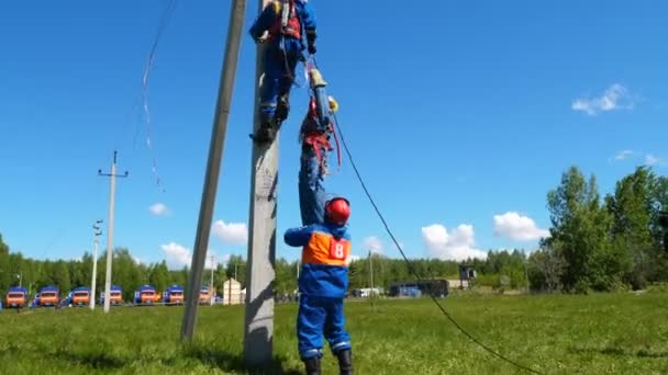 Facet wspina się w dół od bieguna obniża szkolenia manekin na trawie przed lasu — Wideo stockowe