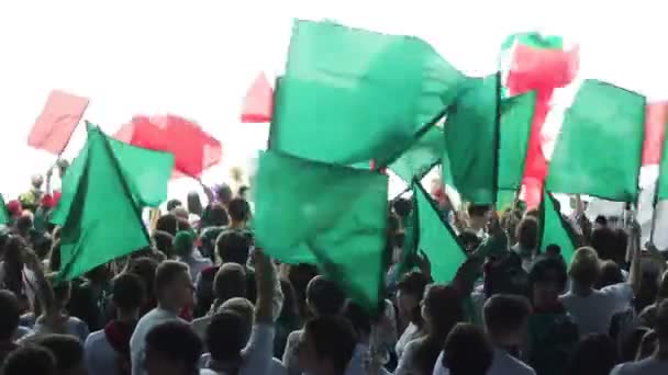 Vista superior torcedores felizes multidão treme bandeiras verdes no estádio — Vídeo de Stock