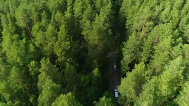 FlyCAM otomobiller sürüş ile çam ağaçlarının gölgesinde gizlenmiş yol takip eder.