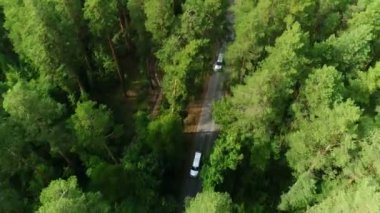 kamera yukarıda orman aşağıdaki trafik ağaçlar yanıp sönen yol boyunca yükselir