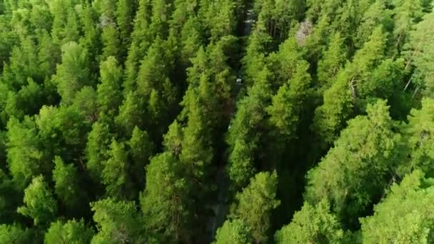 Imponerande antenn gränslösa vidder av skog och blå himmel på horisonten — Stockvideo