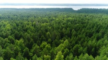 sınırsız orman ve mavi gökyüzü şerit ufukta arkasında hava uzak Nehri