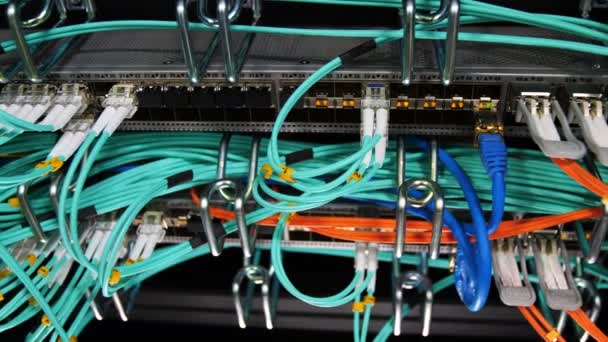 Closeup motion along mining farm servers with cables — Stock Video