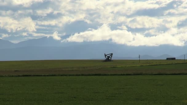 Distant pump jack extracts oil among fresh field against clouds — Stock Video