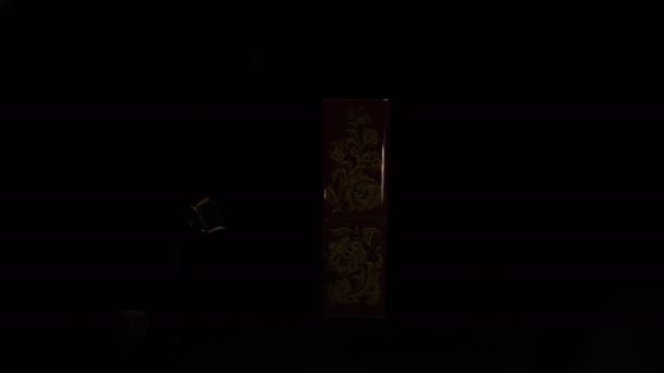 Яркий проектор показывает холодильник, оформленный в стиле Хохлома — стоковое видео