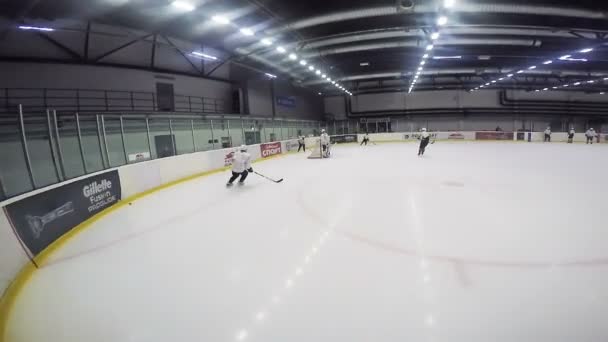 Eishockeyspieler lenkt Puck mit Stock ins gegnerische Tor — Stockvideo