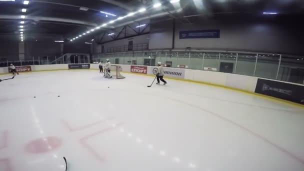 Match de hockey tendu entre les équipes professionnelles sur le stade — Video