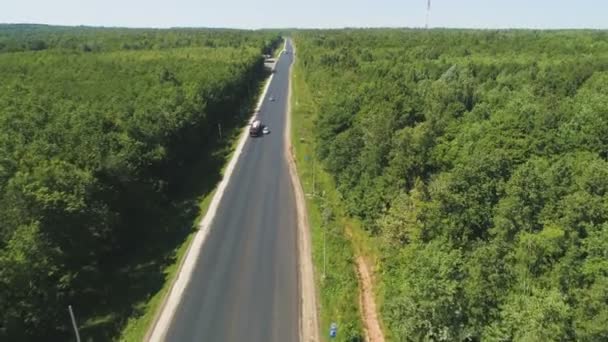 Удобное шоссе с автомобилями по зеленой деревянной антенне — стоковое видео
