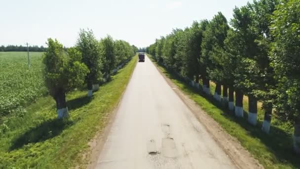 Pista rurale con alberi sui lati e guida auto contro il cielo — Video Stock