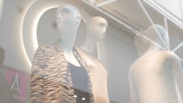 Motion up along fashion store showcase with mannequins — Stock Video