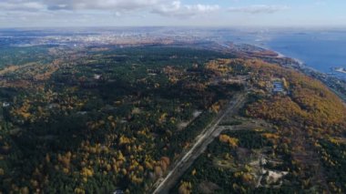 resimsel kuş bakışı büyük altın ve yeşil ahşap parça sakin göl yakınındaki tarafından güneşli gün geçti