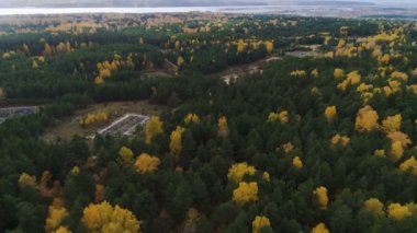 yaprak dökmeyen ağaçlar ve güneşli gün inşaat alanında arasında şaşırtıcı üst görünüm sarı ağaç