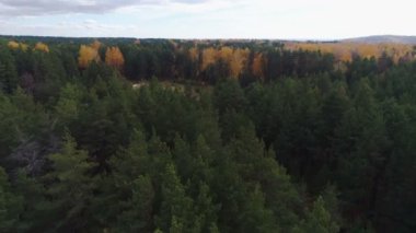 Şantiye resimsel gökyüzü karşı herdem yeşil orman arasında güzel üst görünümü