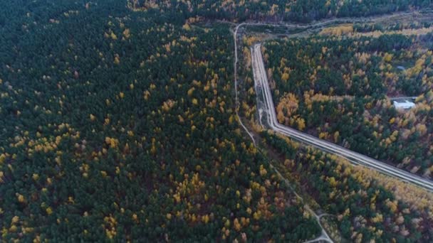 素晴らしい上大きな緑と黄色秋木早朝の近代的な高速道路によって交差を表示します — ストック動画