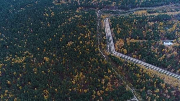 Wonderful Upper View Large Green Yellow Autumn Wood Crossed Modern — Stock Video