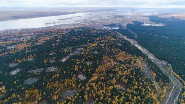 Vista aérea de madera de abedul de pino y oro con cenizas — Vídeo de stock