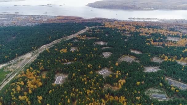 Άνω δείτε άγριο δάσος με στάχτες και τον αυτοκινητόδρομο στην ήσυχη λίμνη — Αρχείο Βίντεο
