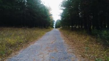 Eski asfalt yukarıda hava hareket sonbaharda derin evergreen ve açık havada huş ağacı orman arasında izlemek