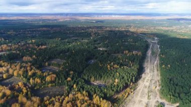 havadan görünümü sonbahar huş ağacı ahşap yoldan sabah geçti