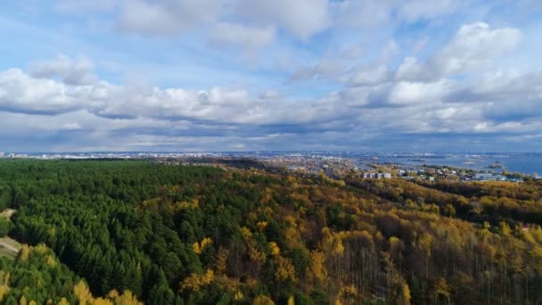 Upper pine and birch wood and city under sky with clouds — Stock Video