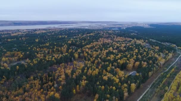 Panorama hösten blandskog med vägen mot sjön och sky — Stockvideo