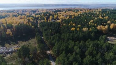 çam ve huş ağacı orman kül siteleri ile yukarıda hava hareket
