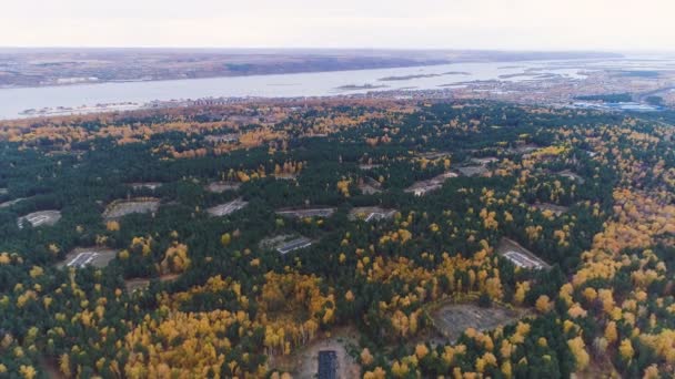 Панорамний вид сосна і жовті берези з подрібненими радощами — стокове відео