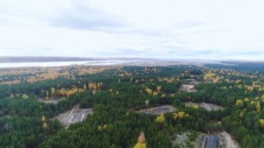 İnşaat siteleri ile üst görünüm çam ve huş ağacı orman