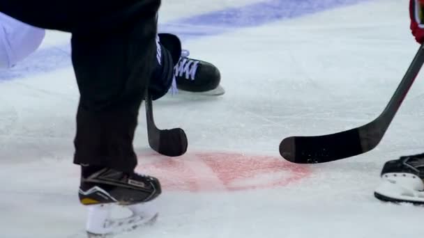 Slow motion close view hockey players fight for puck at game — Stock Video