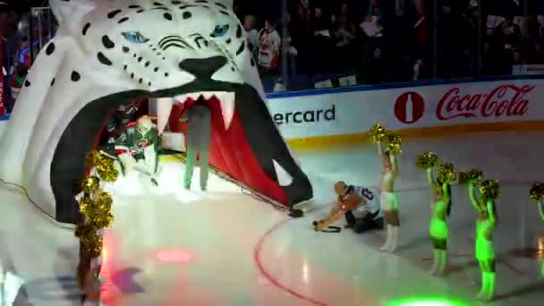 Hockey players go to field through decorative snow leopard — Stock Video