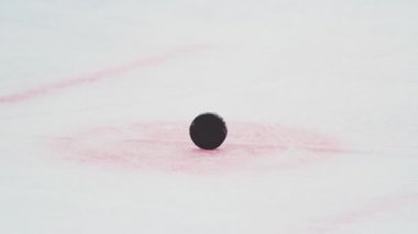 Hokey Arbiter rekabette siyah Puck alır