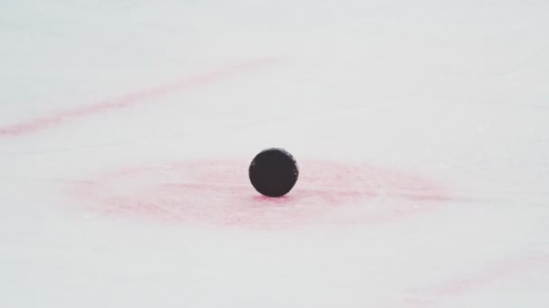 Gros plan arbitre de hockey enlève rondelle noire à la compétition — Video