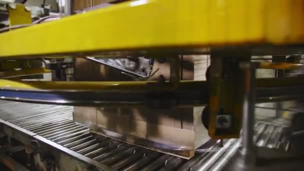 Máquina envuelve cartón con película de polietileno en almacenamiento — Vídeos de Stock