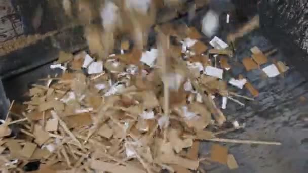 재활용 작업장에서 컨베이어에 떨어지는 골판지 절단 — 비디오