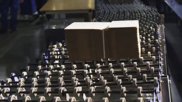 Связанные блоки картонных коробок на производственной линии на заводе — стоковое видео