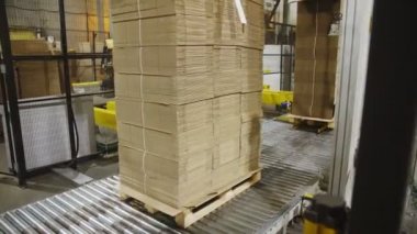 fabrikada taşınan katlanmış karton kutular ile palet