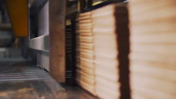 Línea de producción transporta cajas de cartón en taller — Vídeo de stock